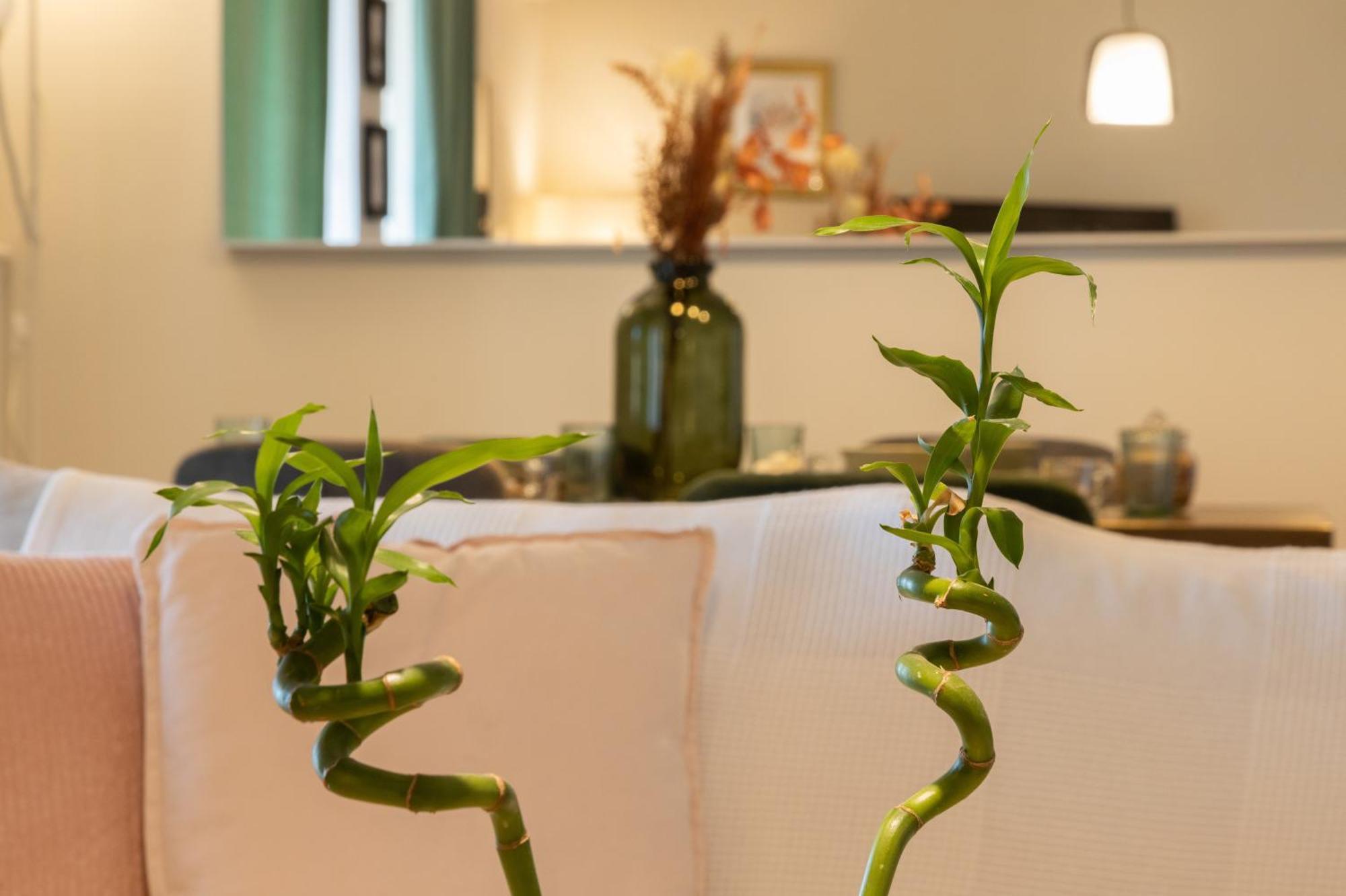 Glyfada Golf Fourth Floor Apartment เอเธนส์ ภายนอก รูปภาพ